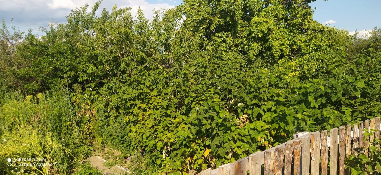 Срочно срочно Продам дачу Восточный 11 правые