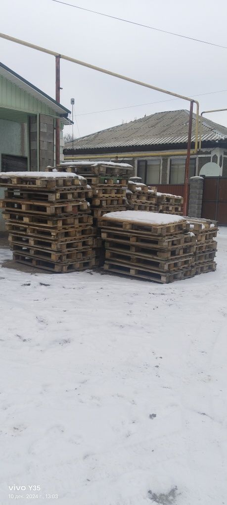 Палеты Пандоры бушные,