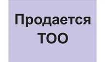 ТОО с финустойчивостью, ФОТ 240 млн тг!