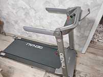 Беговая дорожка Genau iTech R5