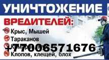 Дезинфекциия в Шымкенте