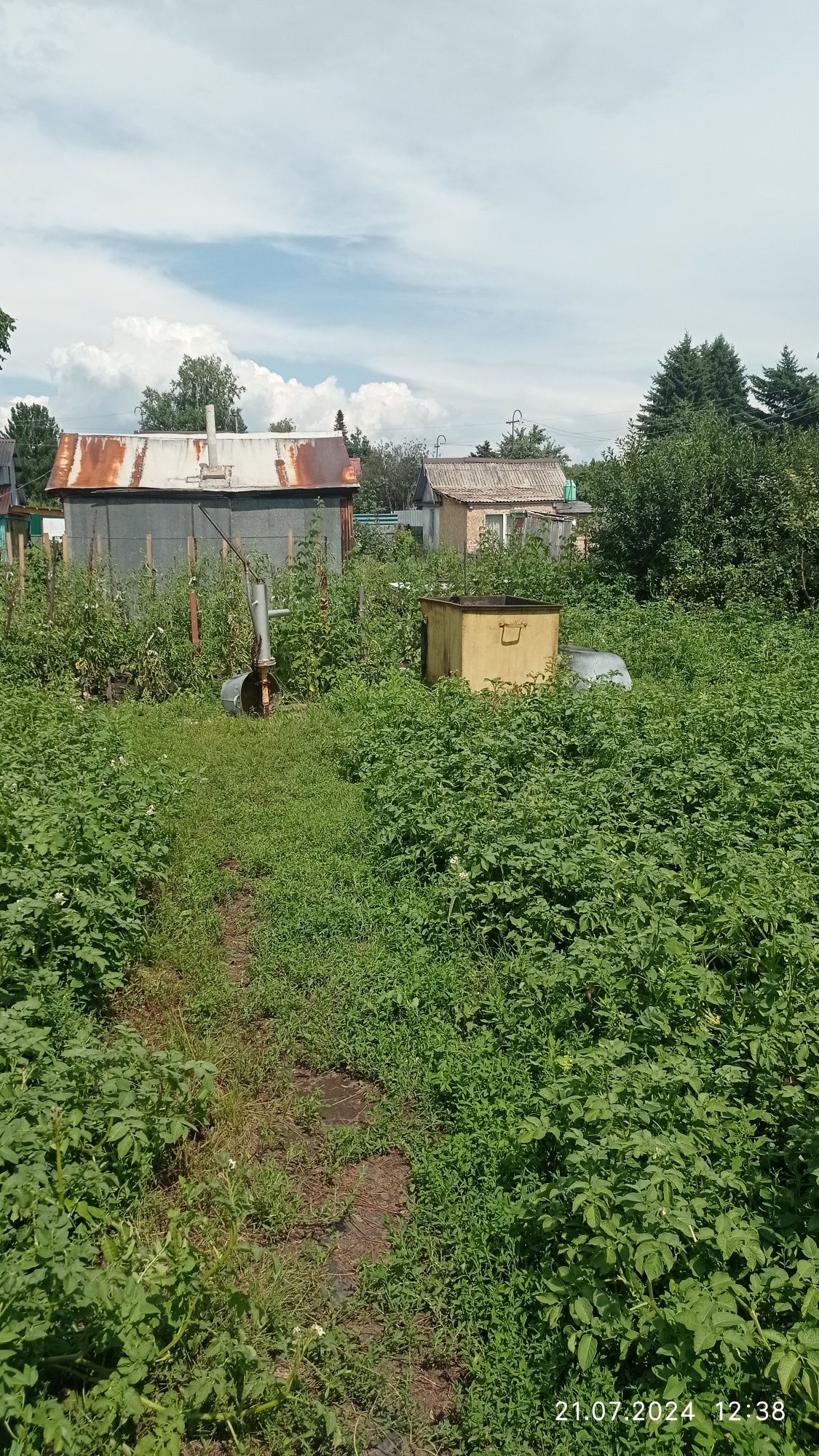 Продам дачу в с/о Мичуринец