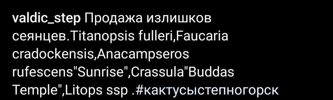 Продам суккулентные растения