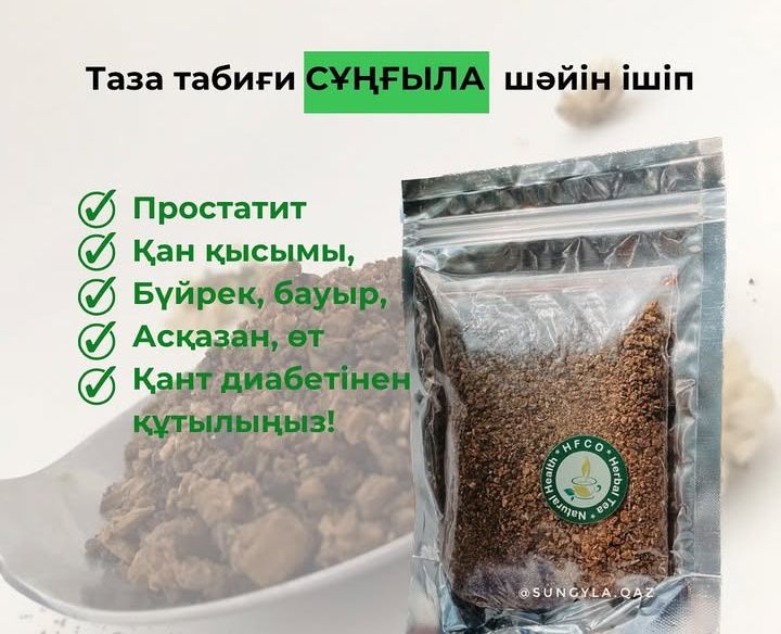 Сұңғыла (цистанхе)шәйы Давление,өт бауыр цистанхе т.б ем болады.