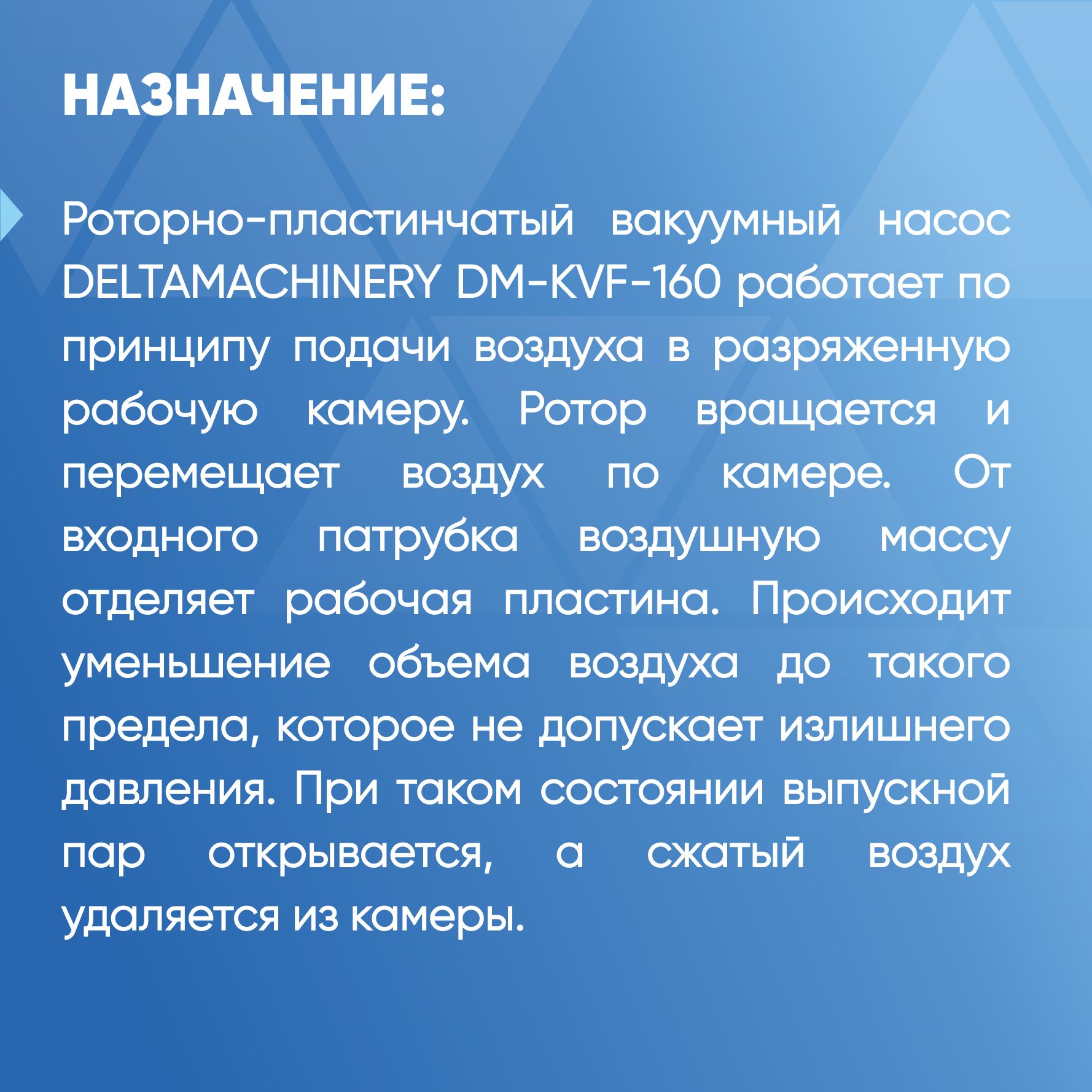 Пластинчато-роторный вакуумный насос DELTAMACHINERY DM-KVF160