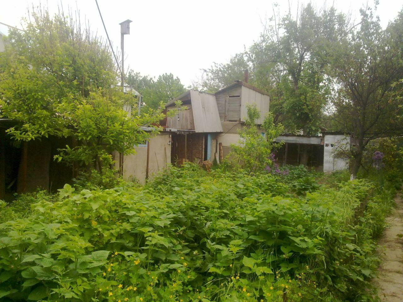Продается дача на Кайнар Булаке .