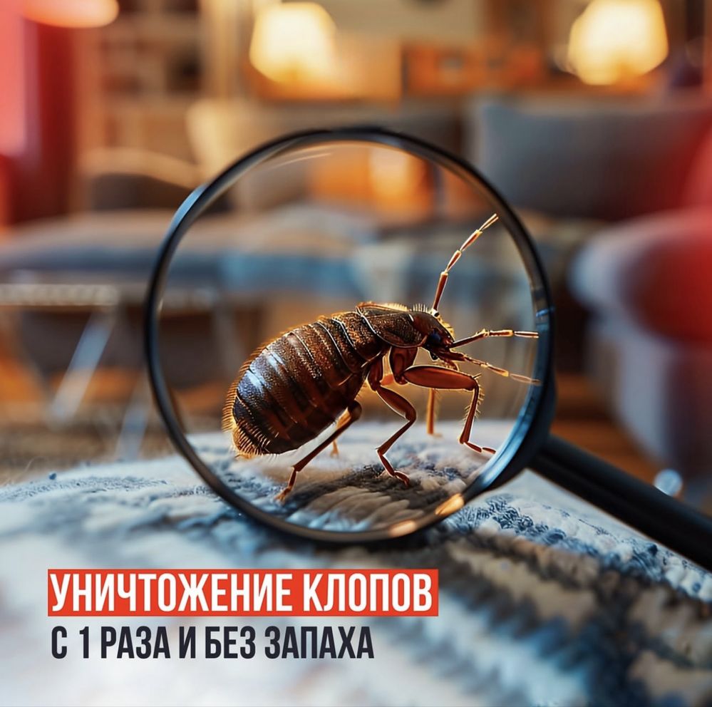 Дезинфекция клопов Тараканов жук короед блоха мышь тышқан қандала