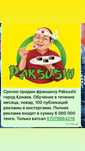 Срочно продам фоаншизу Paksushi в городе Конаев