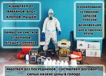 Дезинфекция от клопов кандала тараканы Результат 100% г.Шымкент