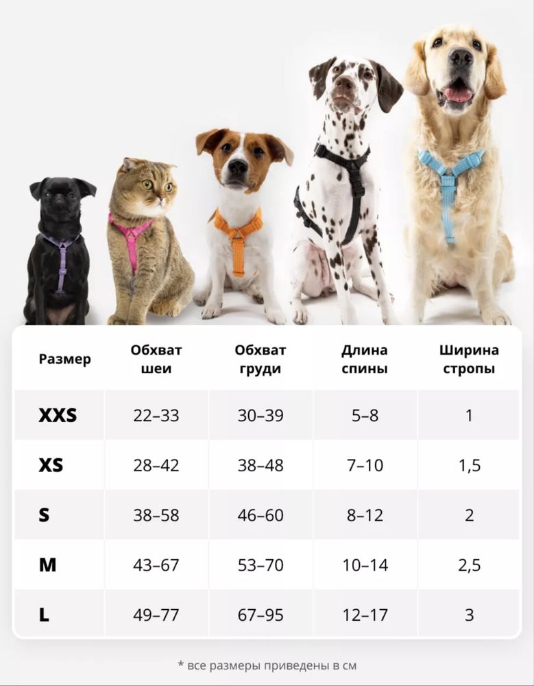 Шлейка для собак и кошек Pro comfort
