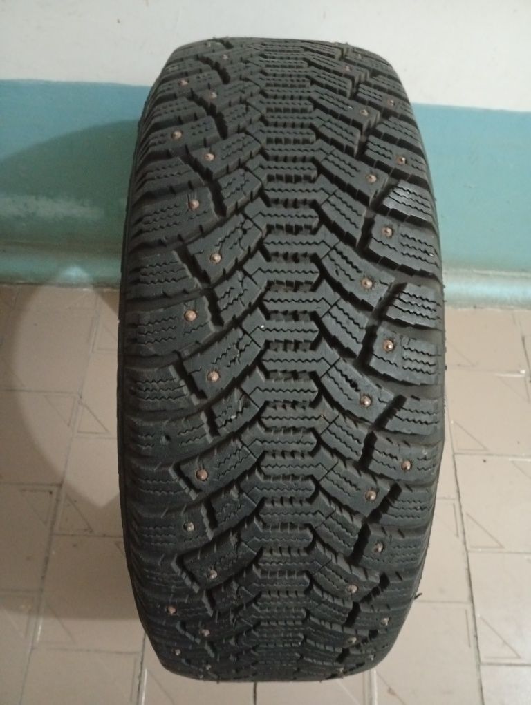 Шины Nitto Therma Spike