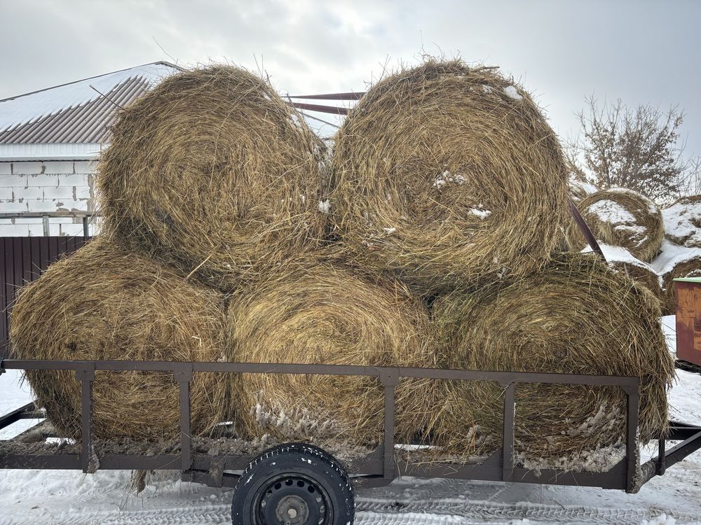 Продам сено 10000