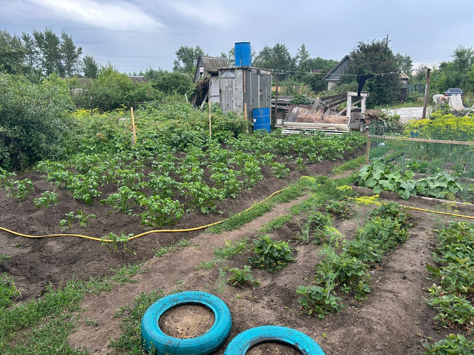 Продам дачу, 3-х комнатную,87кв Текстильщик 1