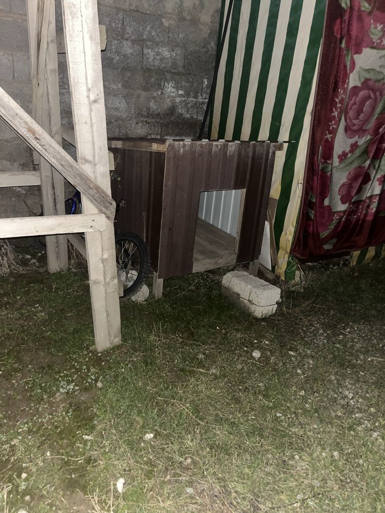 Кушіктін үйі жақсы жасалган