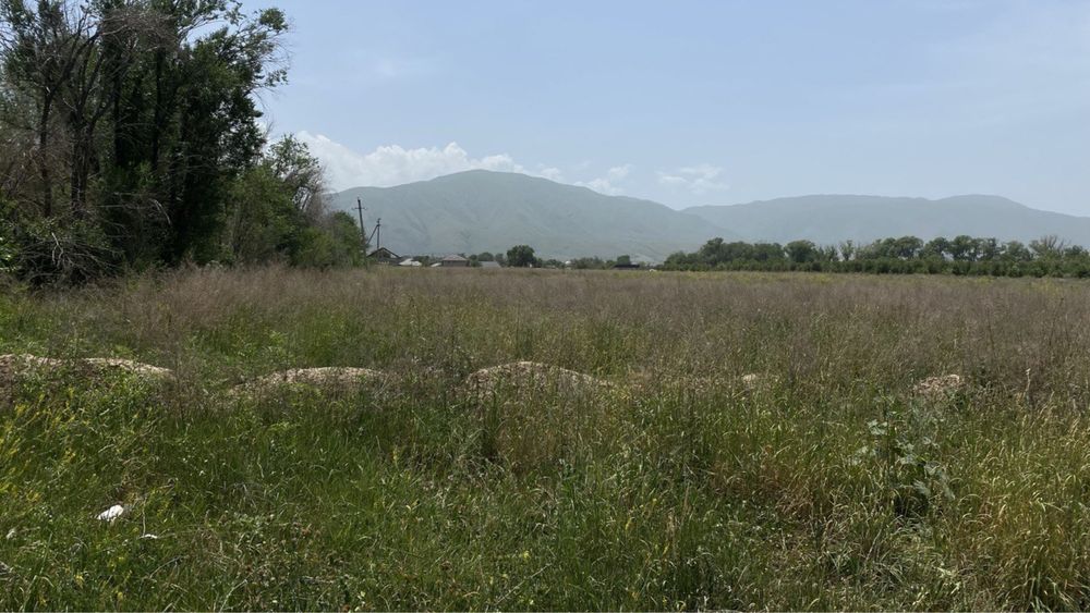 Шалкар ауылын участок
