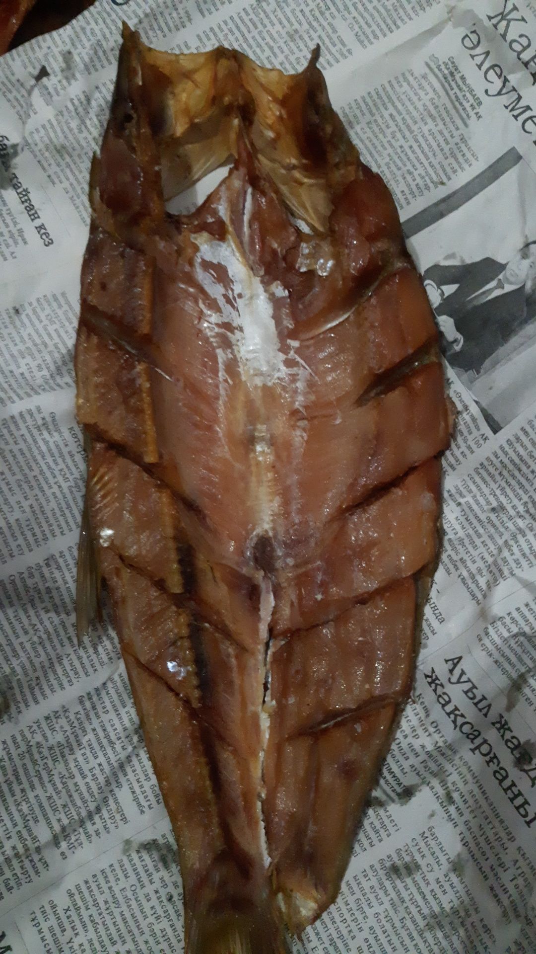 Капченный Толстолоб,Жерих