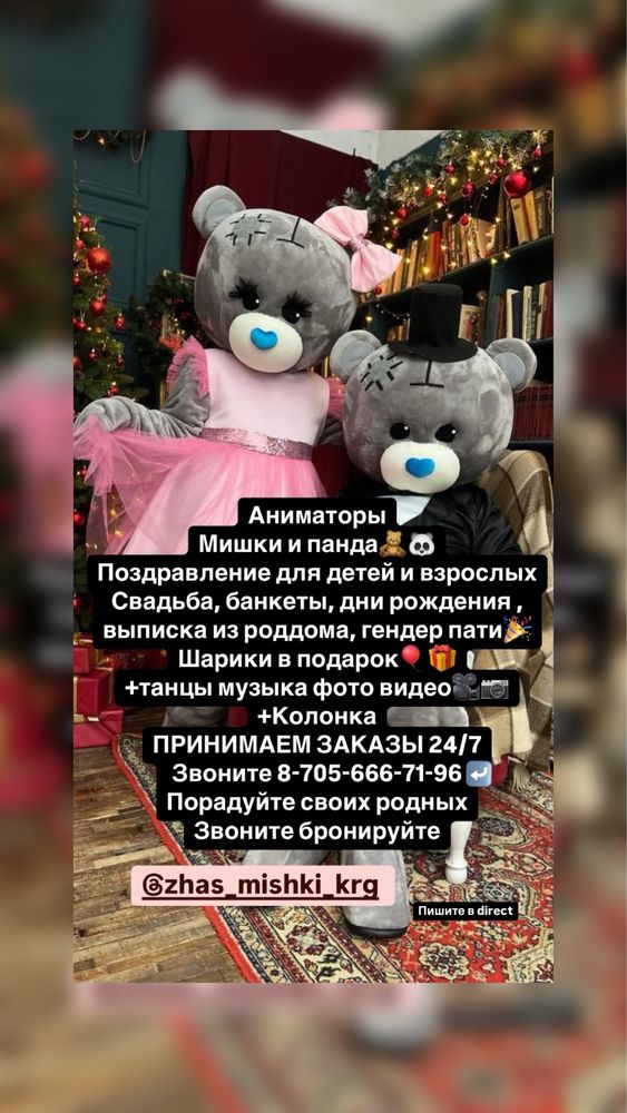 Мишки в аренду тедди