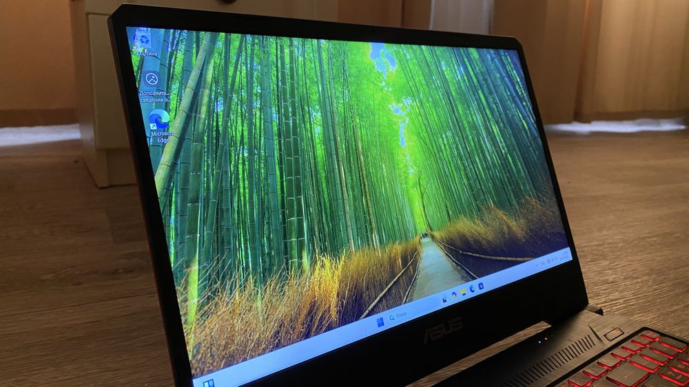 Ноутбук ASUS FX505GM