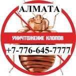 ‼️Уничтожение мышей крыс обработка Иргели ‼️