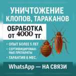 Дизенфекция Дезинфекция уничтожение тараканов клопов комаров Скидка