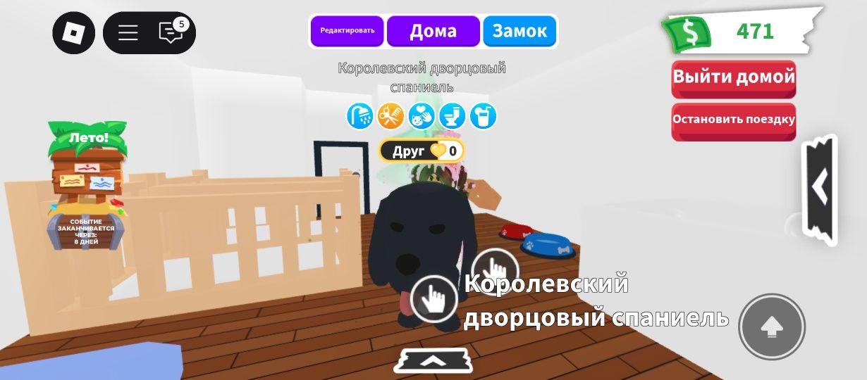 Продаю р королевского спаниеля