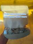 Кора молодой Осины