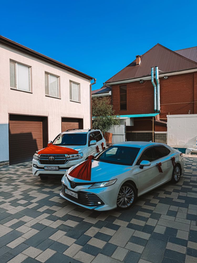 Toyota camry 70 >