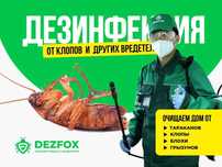 Дезинфексия Уничтожение Клопов От Тараканов Крыс Мышей В Доме Кафе