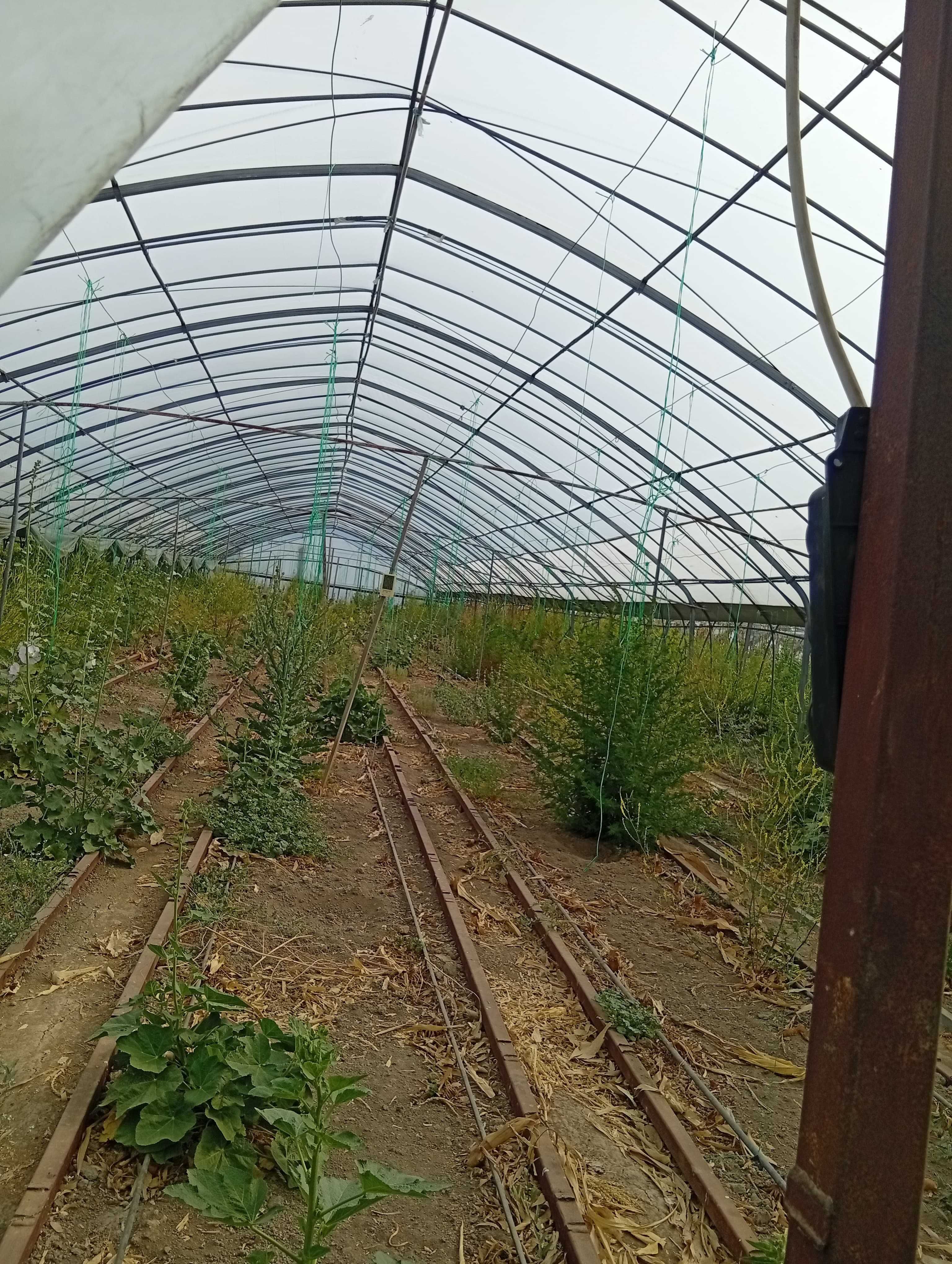 Продам теплицу с оцинкованым каркасом