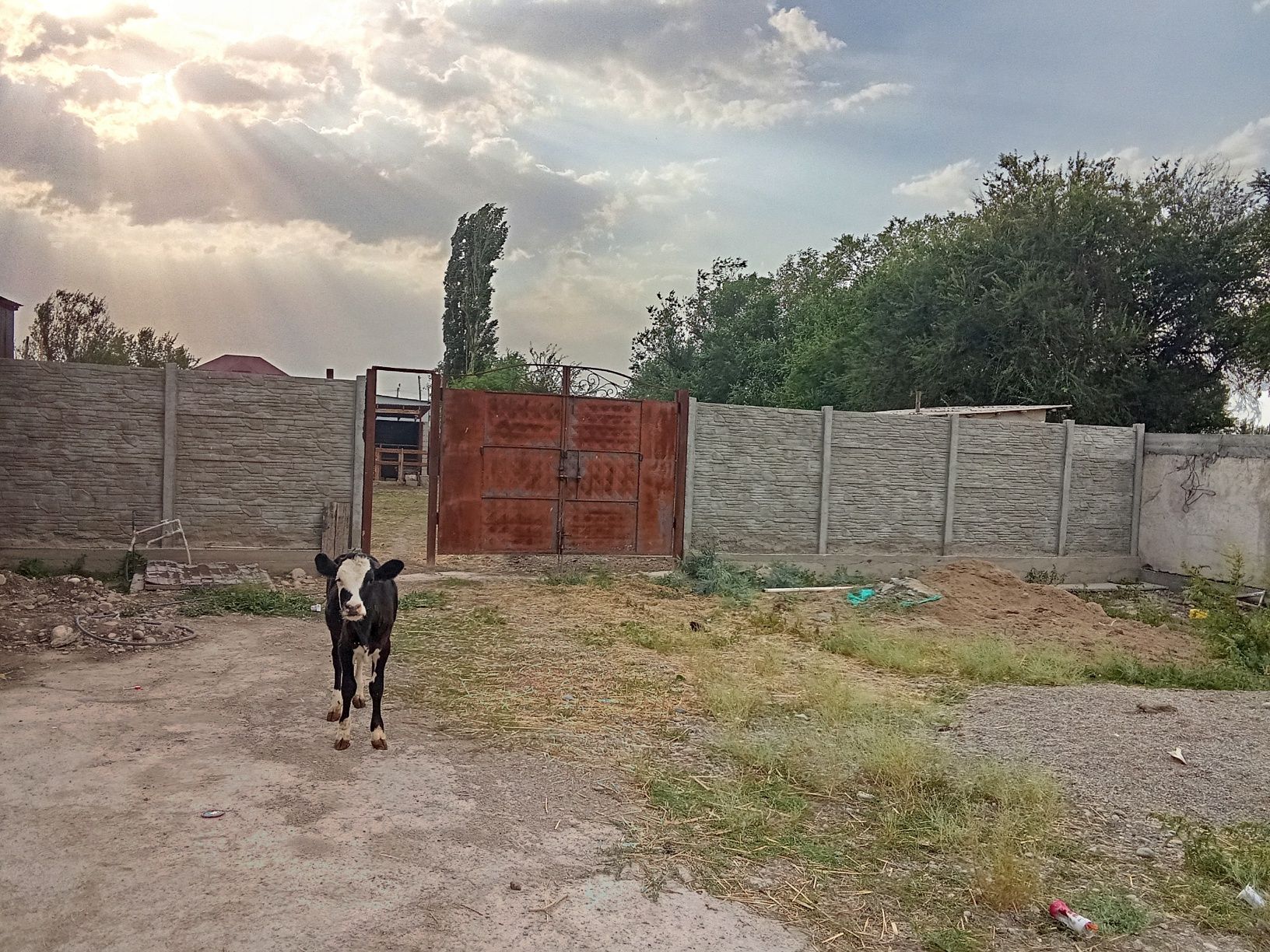 Үй сатылады жағдай жақсы