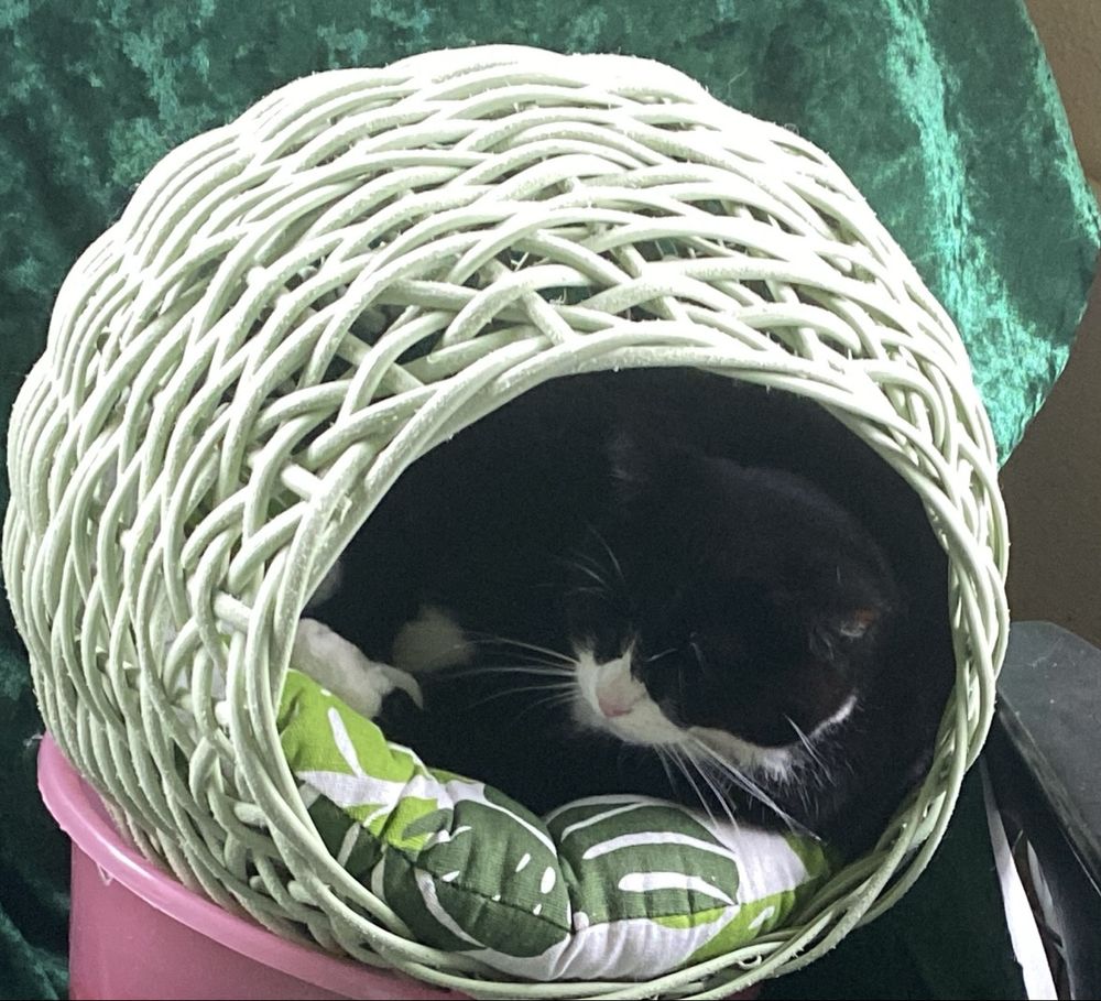 Котодомик, для Вашего котэ