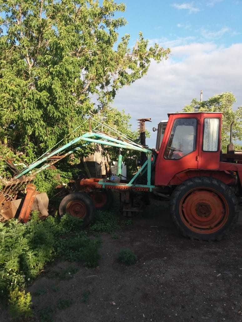 Продам трактор Т-16 м