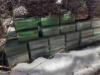 Продам стеклоблоки