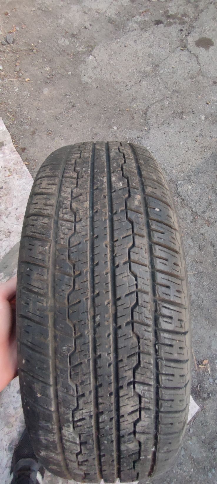 Продам баллоны R15  и диск от Волги R14