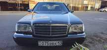 Мерседес  W 140  живой кабан