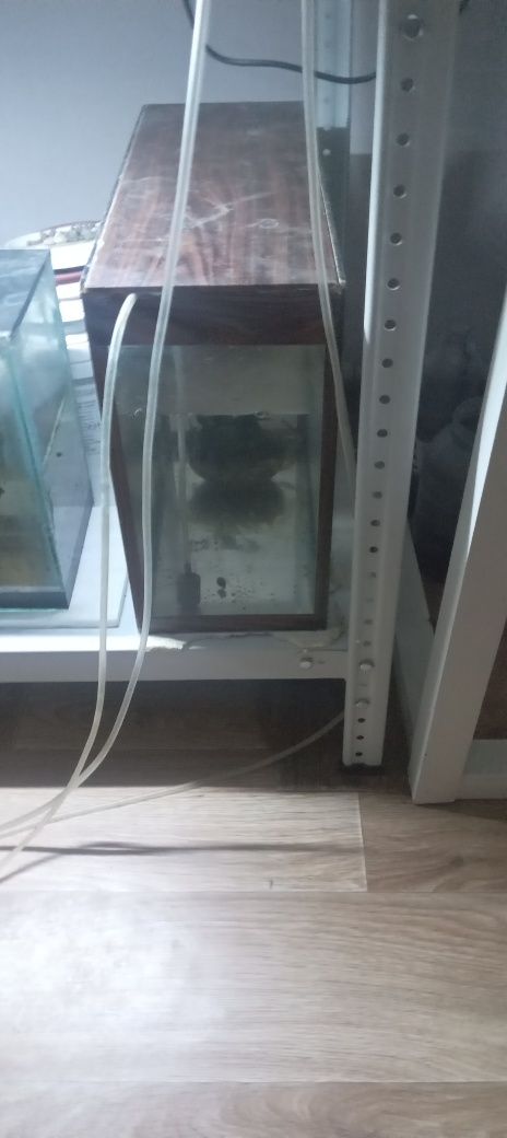 Продам аквариум возможно с рыбками