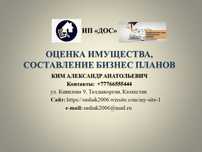 Оценка Бизнес план (ОПЫТ РАБОТЫ 18 ЛЕТ)