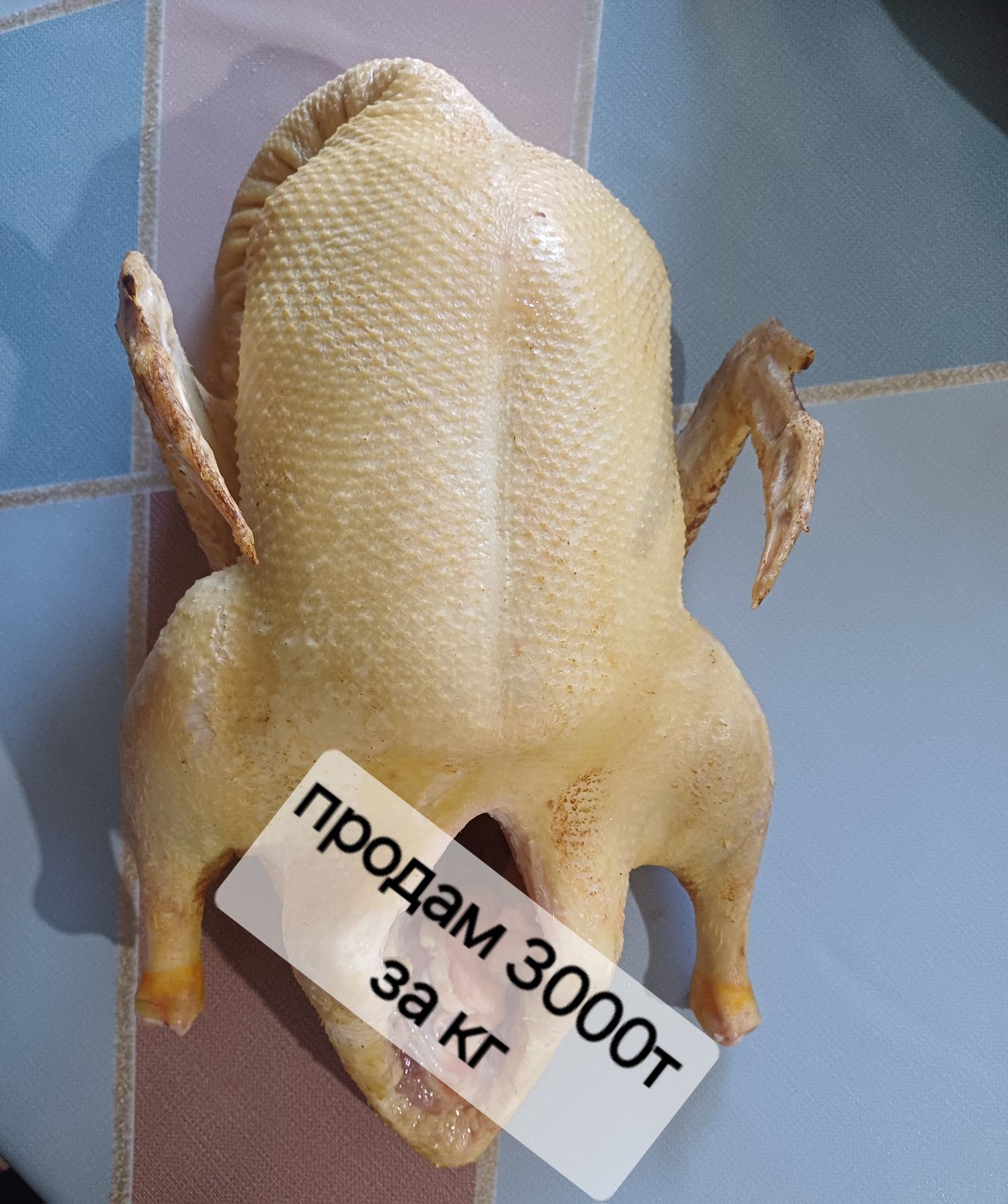 продом тушку уточек
