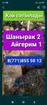 Кой Бараны     Алматы