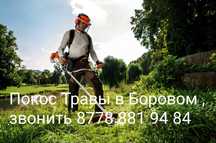 Покос травы в боровом