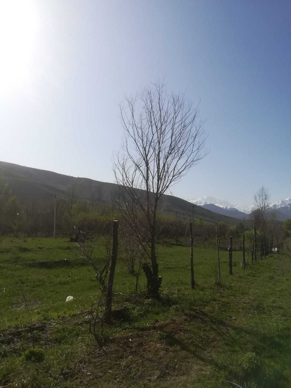 Участок к/х Азат, сразу после Талгара. Выкуплен. Не аренда.