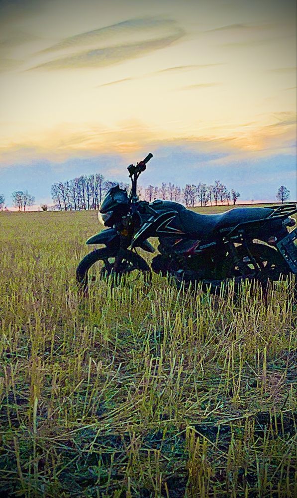 Альфа спарк 125cc едит 90, хорошое состояние фару поменять и спидак,