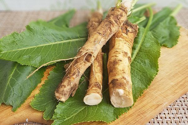 Продам хрен для засолки