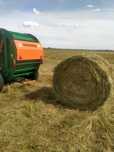 Продам сено в рулонах