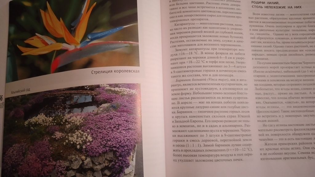 Все О Цветах. для цветоводов