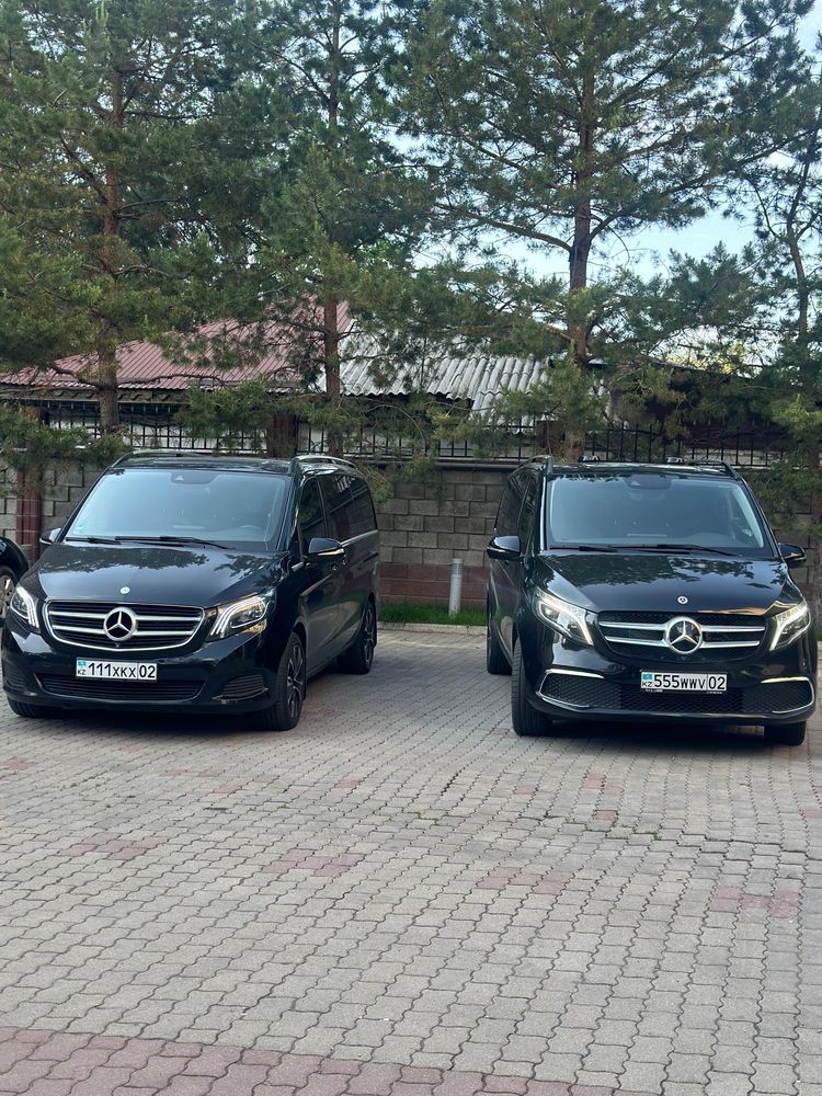 Прокат аренда V class Viano transfer rental cars