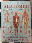 Книга по анатомии с рисунками