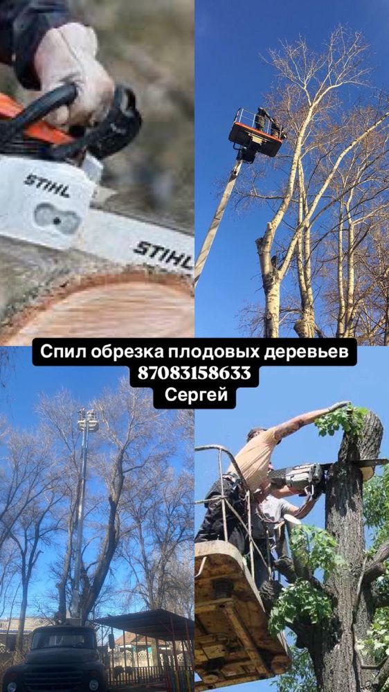 Спил распил деревьев любой сложности