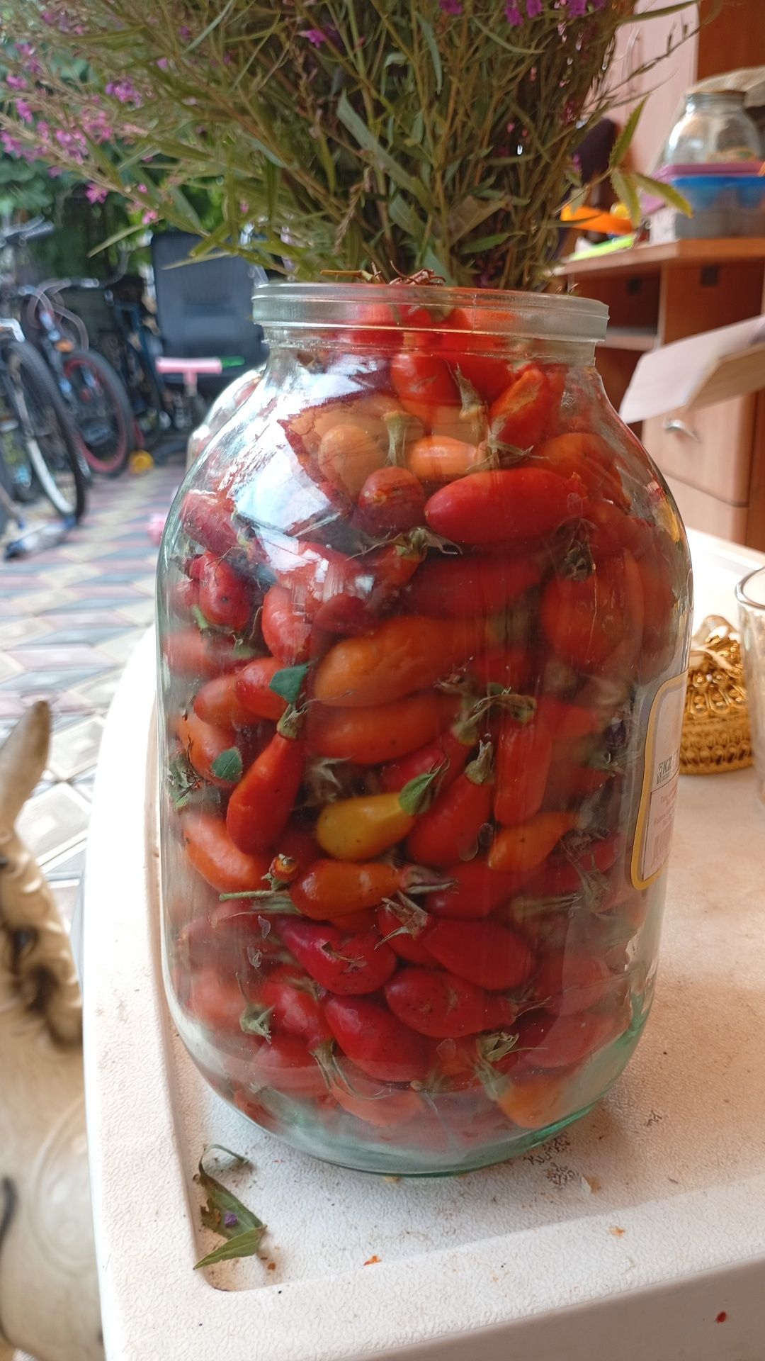 Продам  шиповник,800тг литр