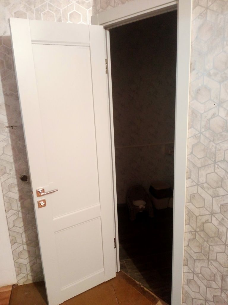 Установка межкомнатных дверей